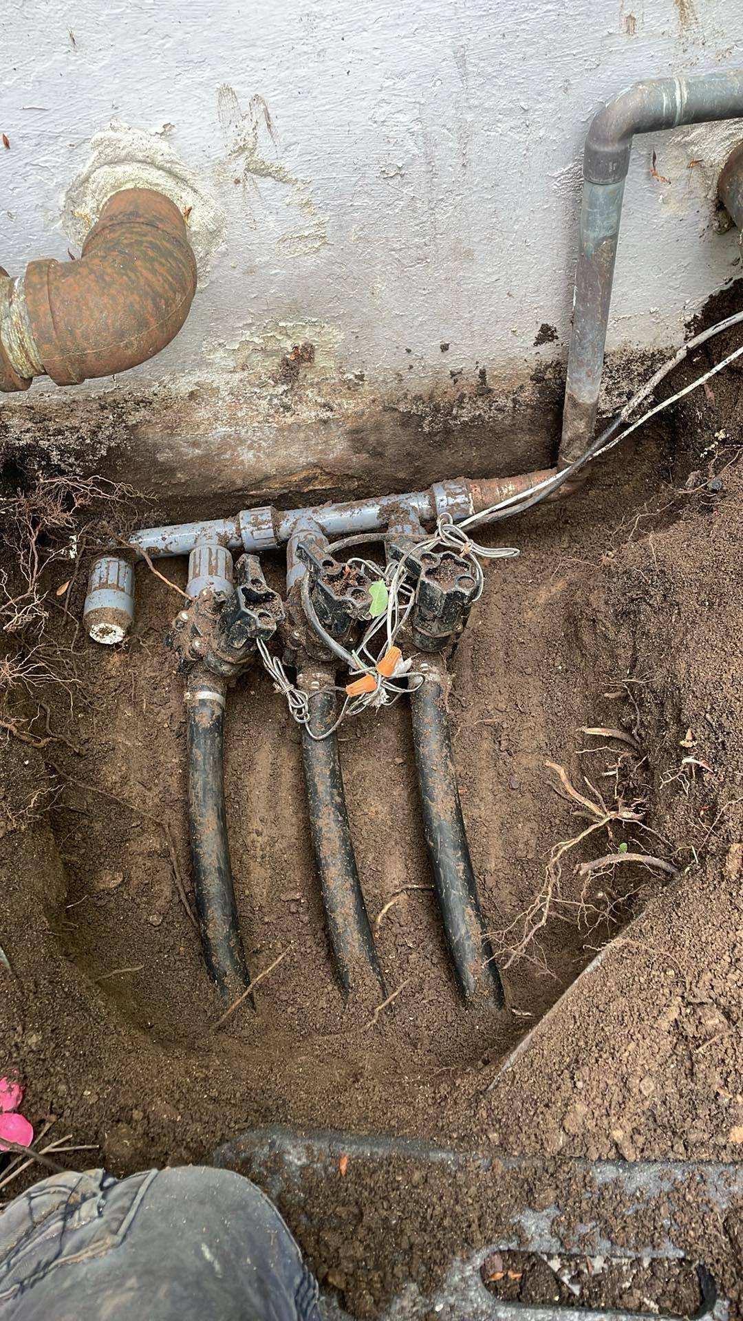 WhatsApp Image 2026-01-16 at 4.21.25 PM